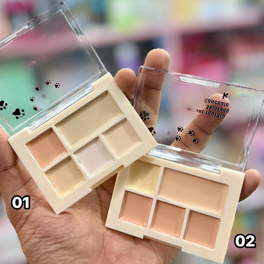 Karite 5-in-1 Waterproof Concealer