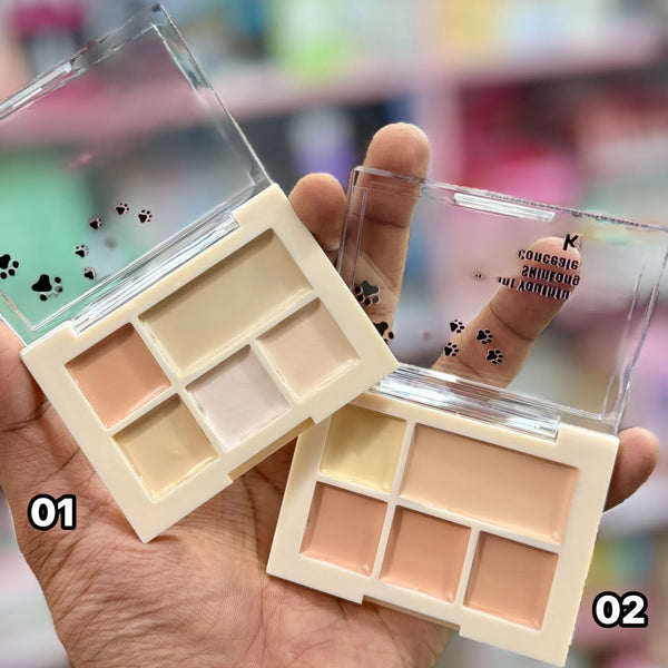 Karite 5-in-1 Waterproof Concealer